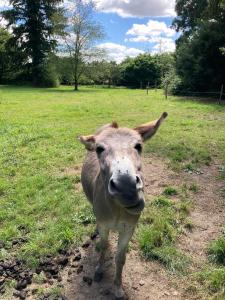 Country house! Maison de campagne!