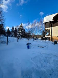 W Naturze - Apartament dla Aktywnych z Widokiem na Las, Szlaki, Rowery, Biegówki, blisko Jakuszyc i Czech