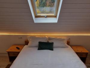 Forest A-frame & Max River -Porumbacu