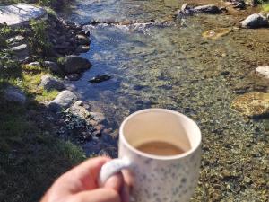 Forest A-frame & Max River -Porumbacu