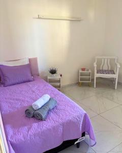 Casa Rios Taíba para viver dias incríveis