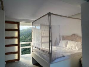 El Templo- Jungle Mirador