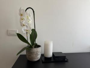 Urban retreat minutes away from Duomo Cathedral