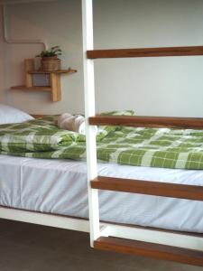 Green Sleep Hostel