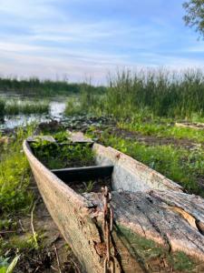 Biebrzańska Dolina 1