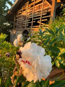 Biebrzańska Dolina 1