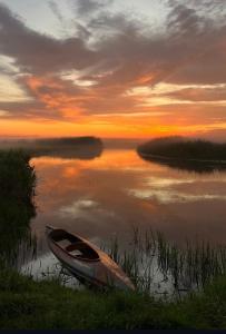 Biebrzańska Dolina 1