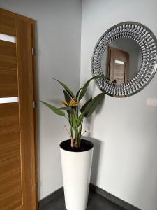 Biebrzańska Dolina 1