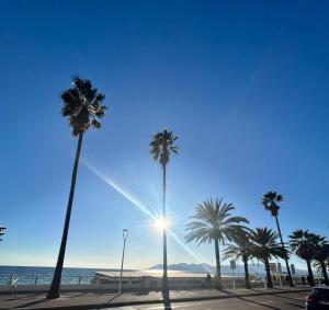 Cannes Suquet Studio