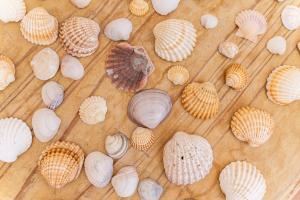 Sea La Vie Beach & Golf Apartment