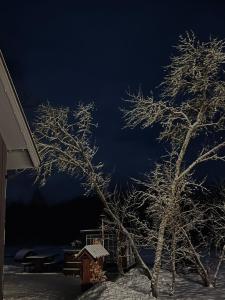 Brīvdienu māja & pirts meža vidū - Saraiķu Sanderi