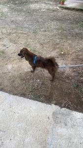 Cabañas Puertas del Sol