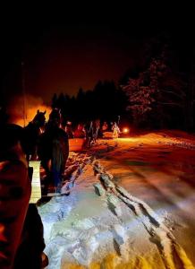 Apartament " CHWOST" w pobliżu Term- Wyciągów i Zakopanego