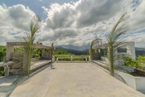 El Templo- Jungle Mirador