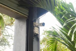 The amaya inn free B&B