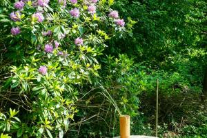 70Er Sommerhus I Odsherred Med Vild Have