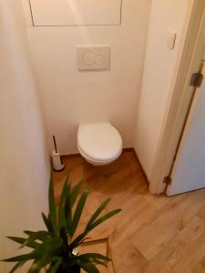 vue imprenable sur lEscaut et le pont de fer