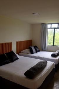 Nido Tangara - Country House in Pereira, Colombia