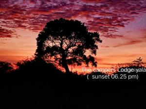 The Campers Lodge Yala