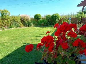 Bungalow with a view