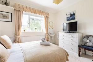 Double bedroom in homely, 5 bedroom family house by the river in Fulham