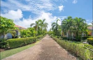 Lavinia Apartment Playa Potrero