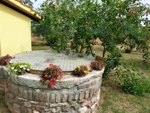 Agriturismo Diaccione 1900