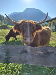 Schernhof Hoamatzeit - Tiroler Bauernhof