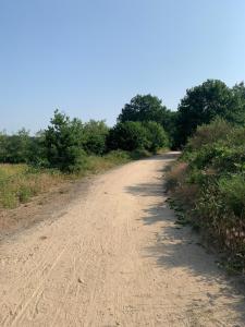Ferienwohnung LA MAISON mit Sauna am See
