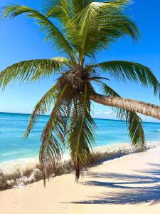 Bavaro Beach Hotel resindecial