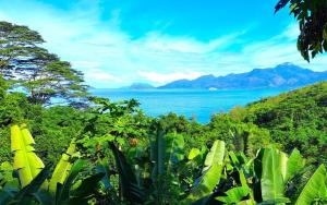 My Paradise