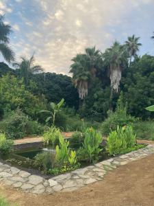 Casa Piedra - Close to the beach!