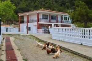 Casa Principal Finca Mas el Bravo