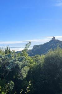 Villa avec vue sur le Golfe de St Tropez