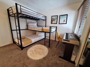 Keystone Charm- Wild Irishman 3BR Mountain Escape condo