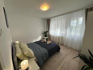 Black Iris Central Apartment - Cismigiu Park