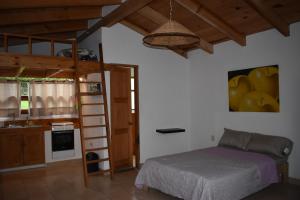 Loft-style cabin in Avandaro