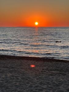 Dimora Mimosa - Baia Delle Mimose img19