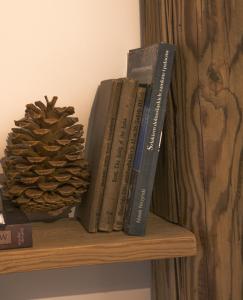 Apartamenty Sudeckie nad zalewem