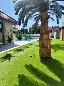 Apartament Aqua Mazury z jacuzzi