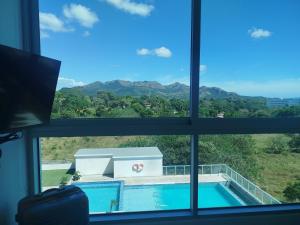 Royal palm Nueva Gorgona