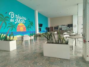 Royal palm Nueva Gorgona