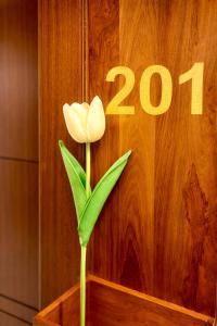 Hotel Hemsa Connect A Luxury Jacuzzi Boutique Stay, Udaipur