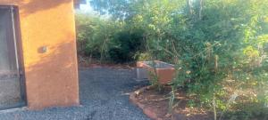 Hartbeest Bush Stay #30