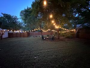 The Blue House- Backyard, grill, pets welcome