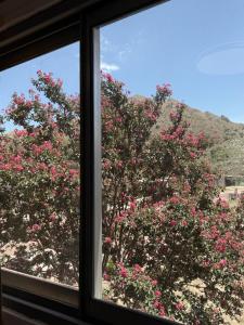 Departamento al pie de las sierra