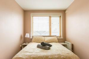 Stylish Central Dub Apt Aviva Stad Free Parking