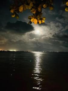 Lisbon Lagoons