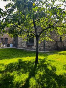 Sauna and Bicycles, Private Stay Bruges