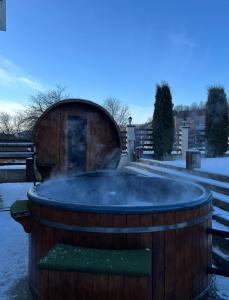 Cabana Lavinia Daniel